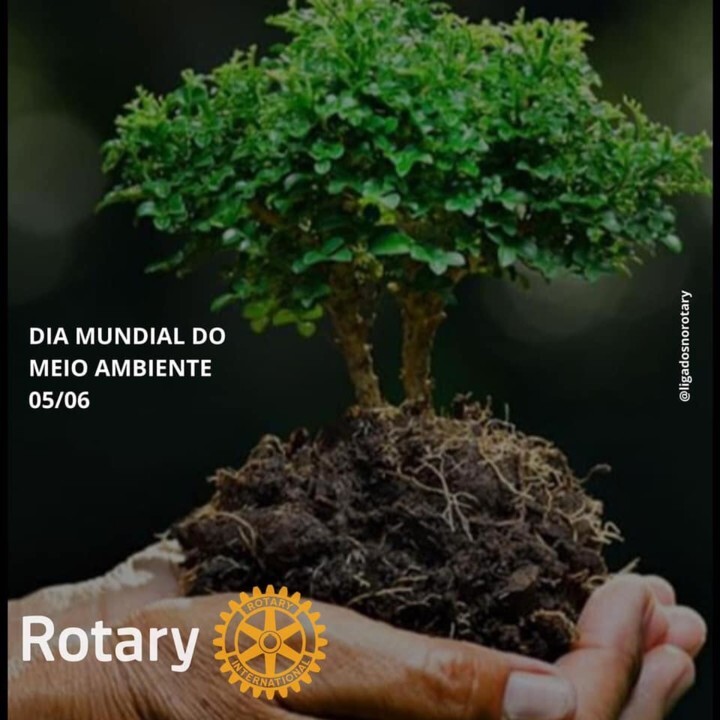 Dia Mundial Do Meio Ambiente Rotary Club De Torres Vedras