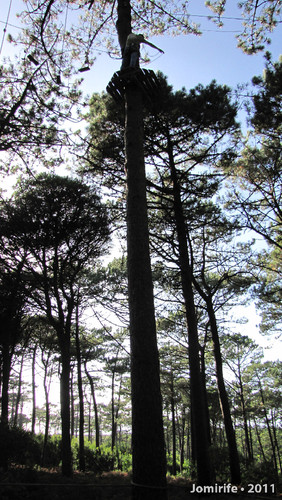 Parque Aventura: Lá muito no alto