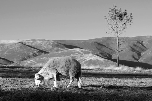 Blogue_paisagem50_Estrela2016.jpg Blogue_paisagem50_Estrela2016.jpg