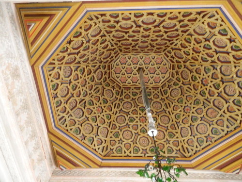 DSCN8121.JPG DSCN8121.JPG