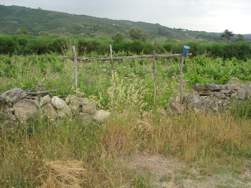 Lamadarcos