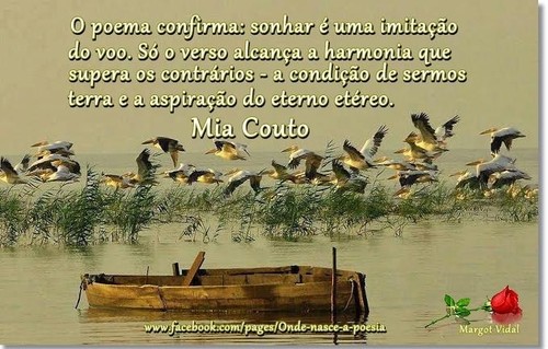 Mia couto