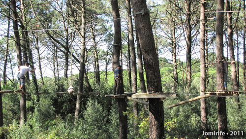 Parque Aventura: Eles lá pelo alto