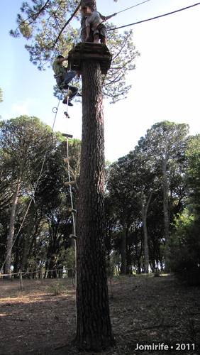 Parque Aventura: Percurso Negro - Lá em cima