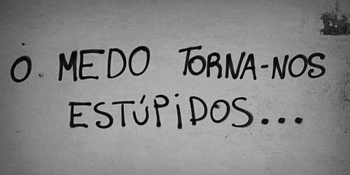 medo1.jpg medo1.jpg