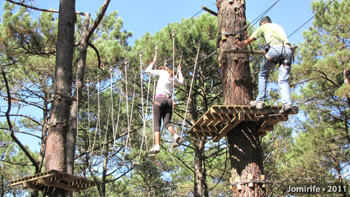 Parque Aventura: Pelas cordas lá no alto