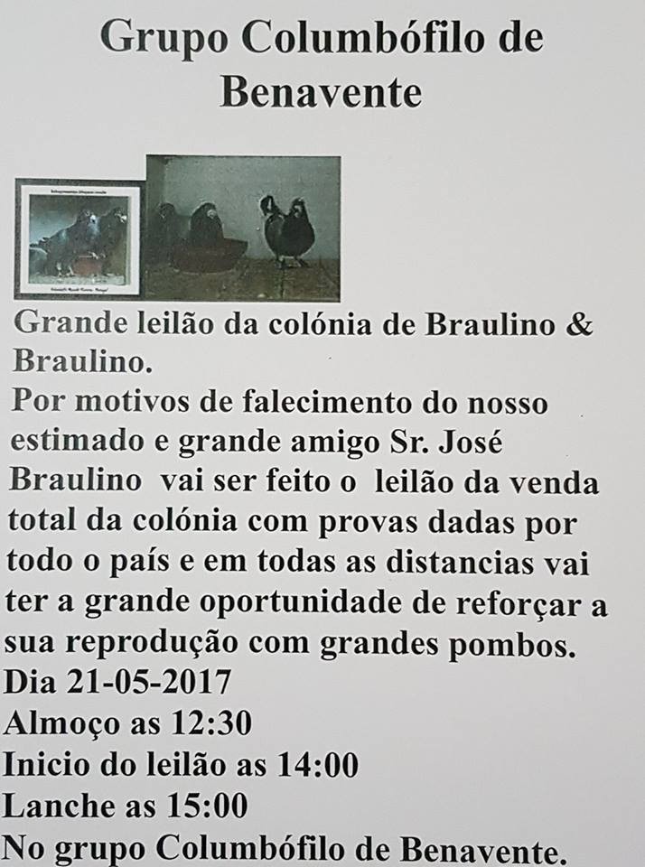 Leilão Benavente.jpg Leilão Benavente.jpg