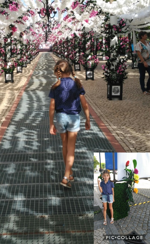 Collage 2017-08-23 19_39_27.jpg Collage 2017-08-23 19_39_27.jpg