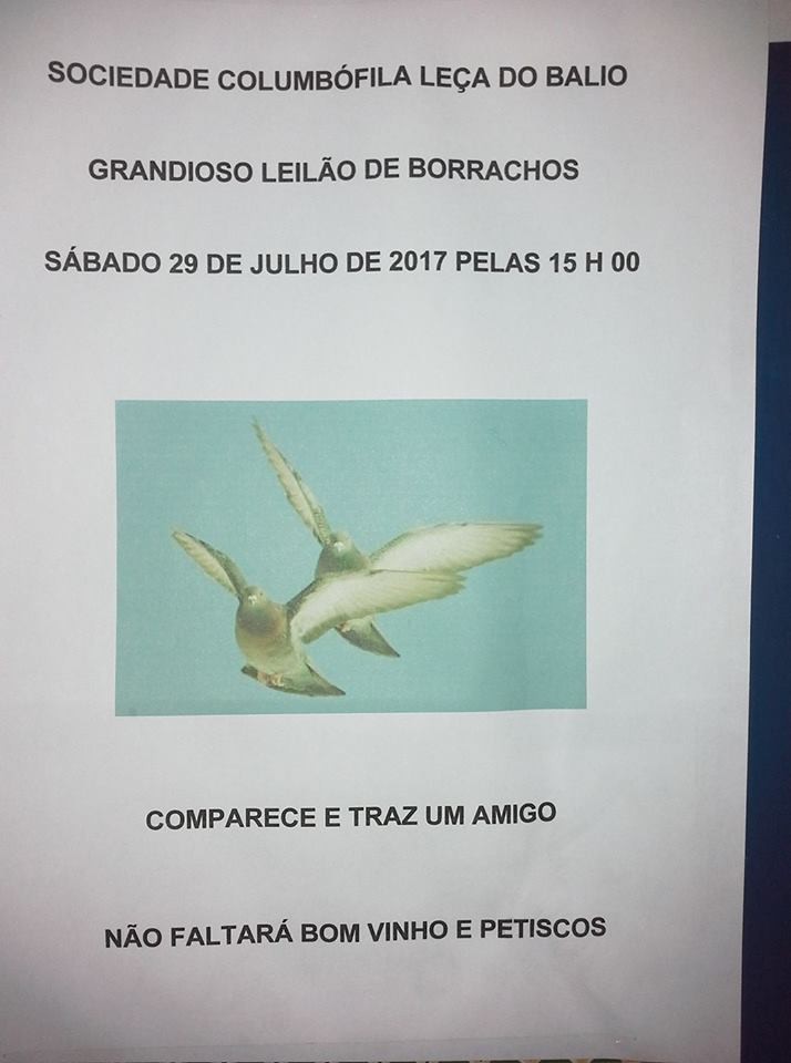Leça Balio.jpg Leça Balio.jpg