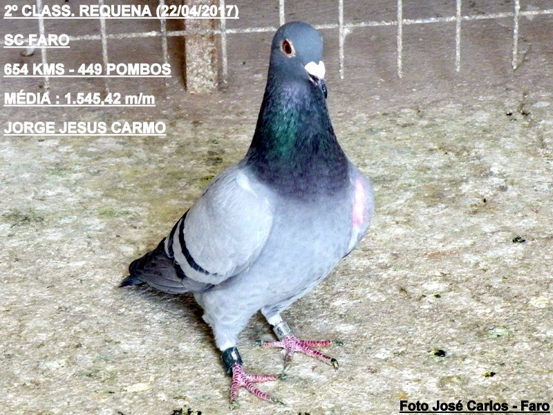 Requena 2017 012.JPG Requena 2017 012.JPG