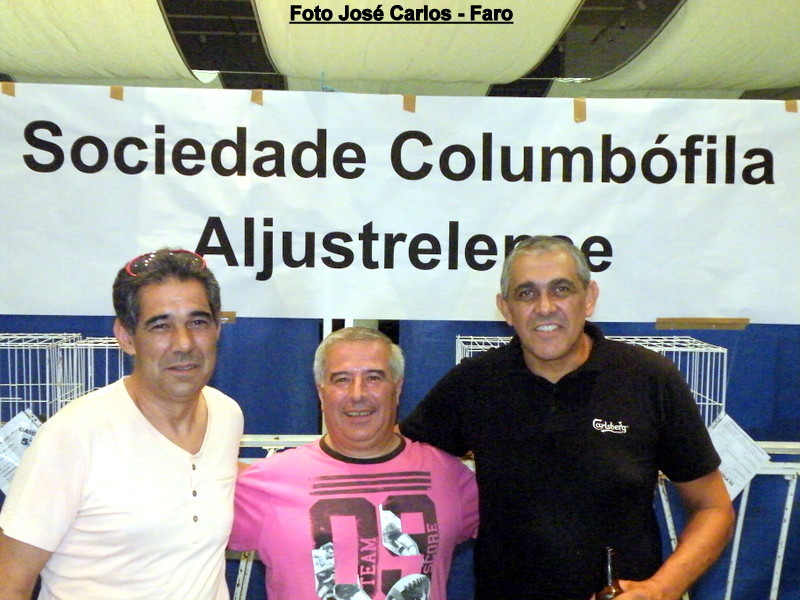 Aljustrel 2017 106.JPG Aljustrel 2017 106.JPG