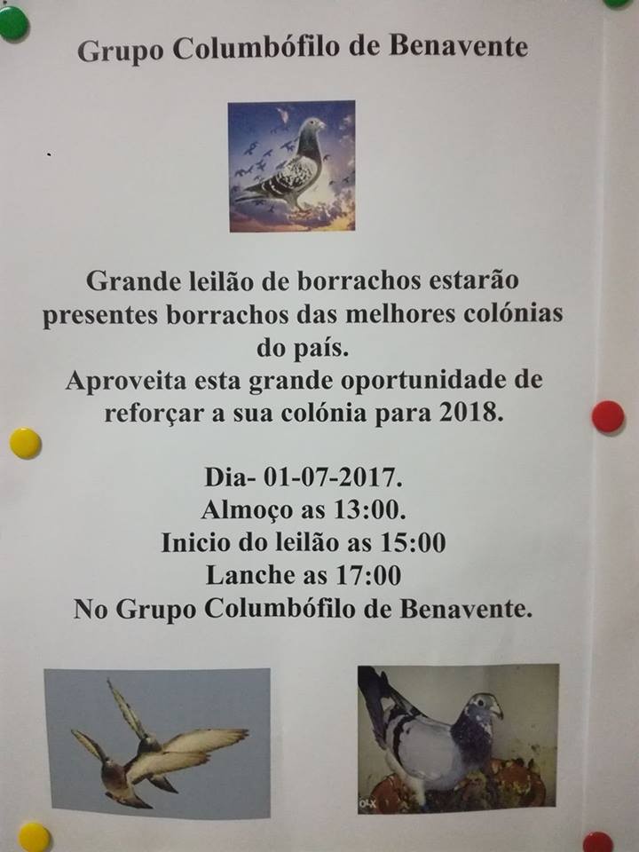Leilão Benavente.jpg Leilão Benavente.jpg