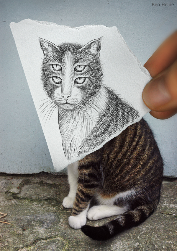 IMAGENS: Fotografias Versus Desenhos... Tens 1 preferida? 16331478_HZ8sn