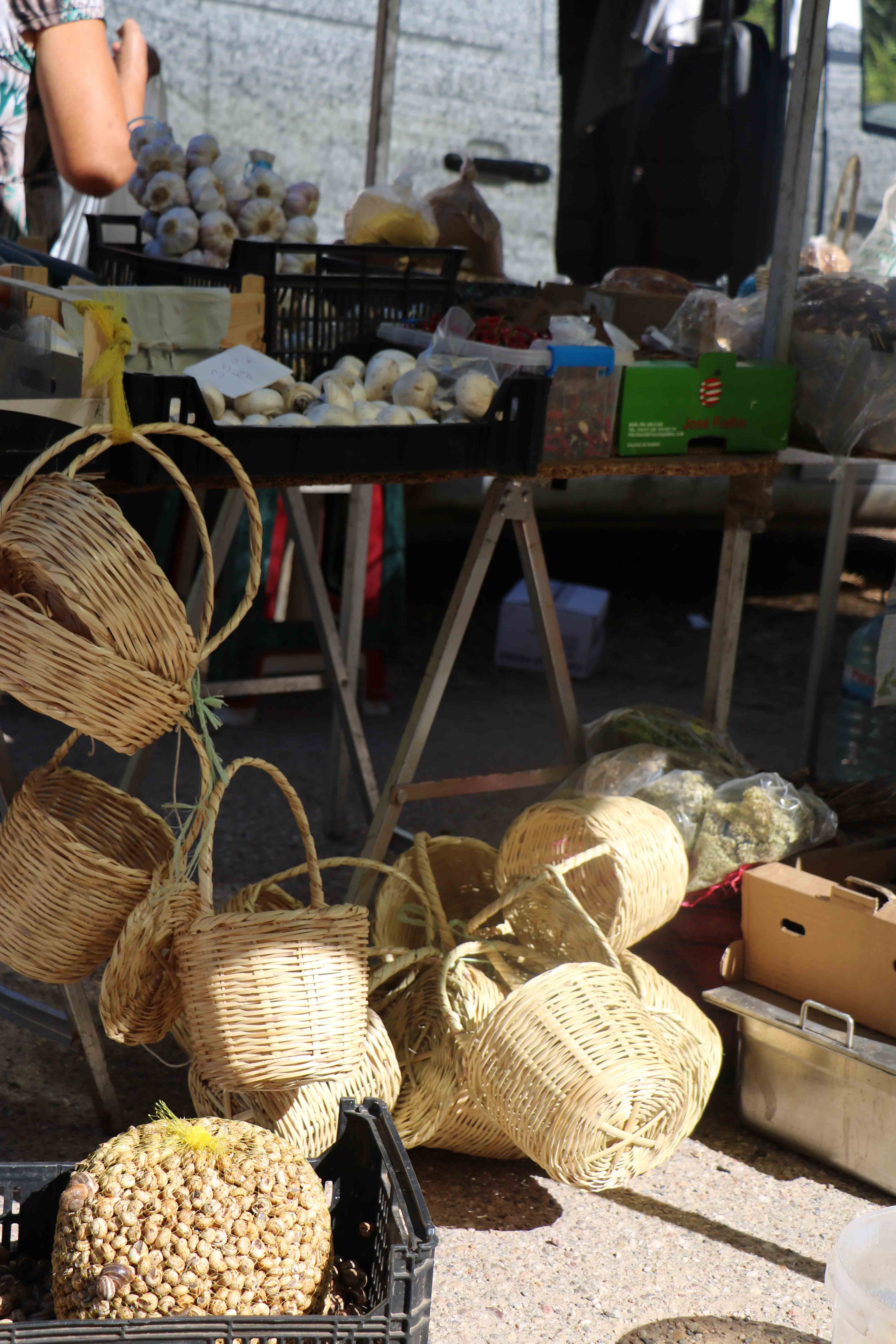 Feira-de-antiguidades-10