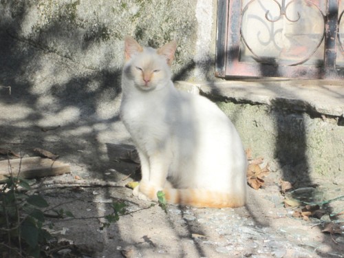 IMG_5037.JPG IMG_5037.JPG