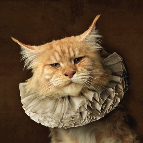 marie-cecile-thijs---cat_med_hr-2.jpeg