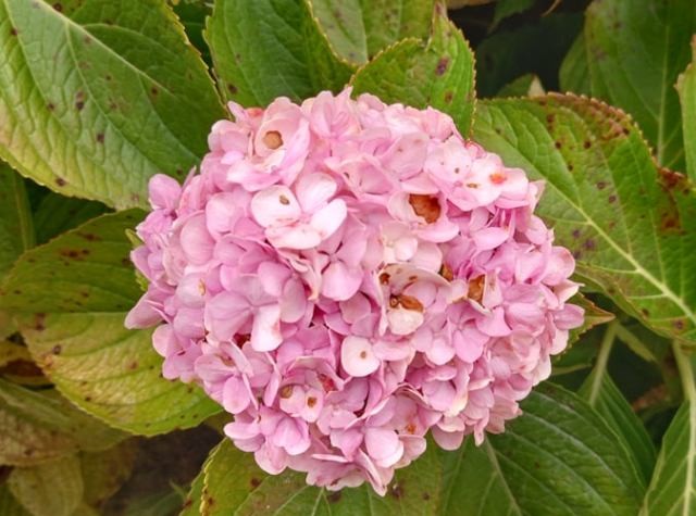 258764756_223196966563614_6923571081255929548_n.jp