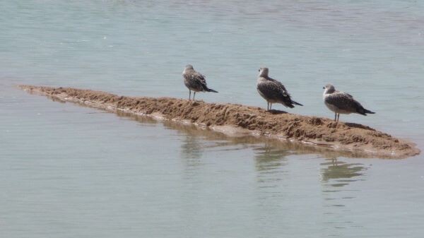 294178094_5193109294137667_3526049962035504493_n.j