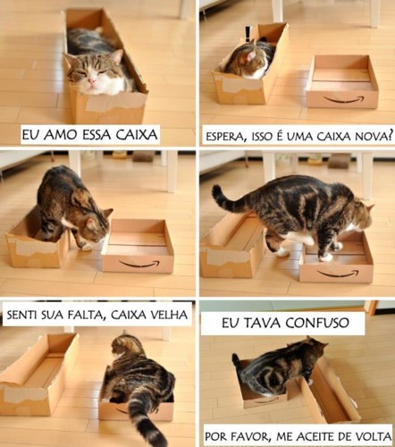 logica-dos-gatos-013.jpg