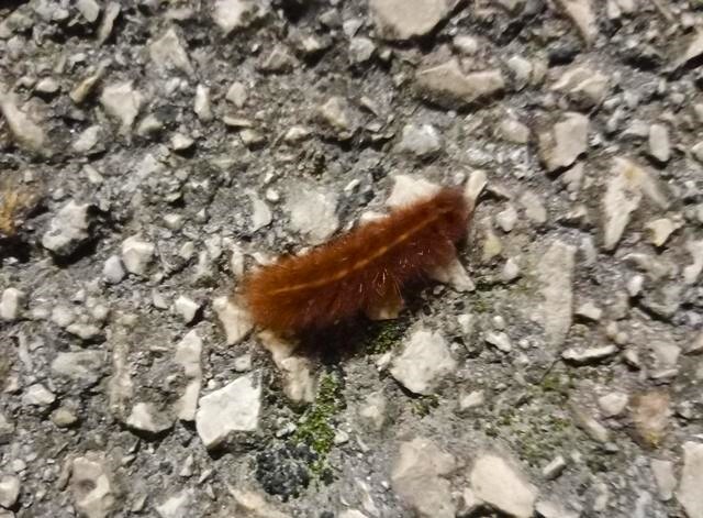 1000023945 - Cópia.jpg