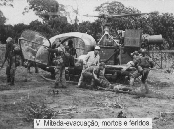 1.DM18.jpg