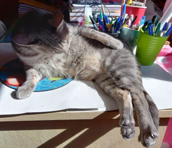 249060862_3169870469951742_5232034439755643994_n.j