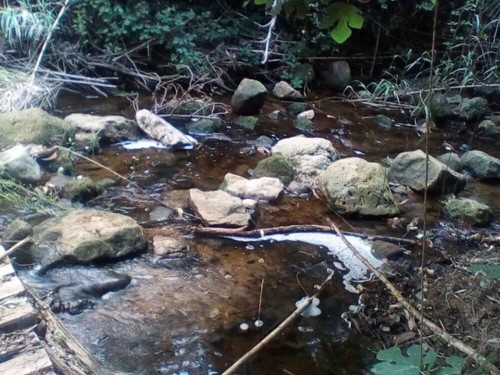 37622453_1738125309636100_8032995041582514176_n.jp