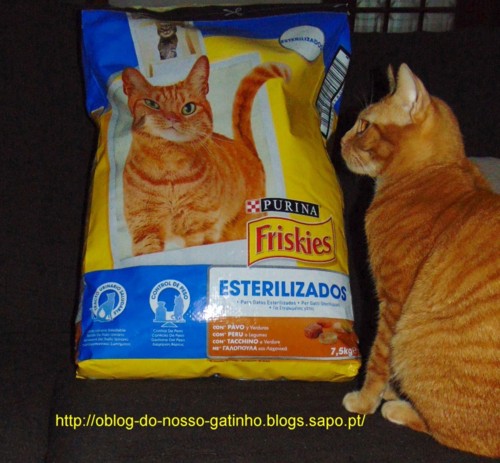 imagem17112017.JPG imagem17112017.JPG