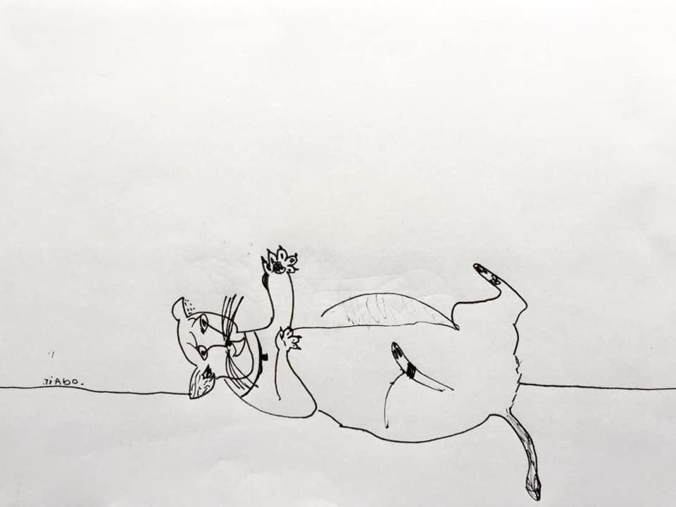 tiag 3.jpg