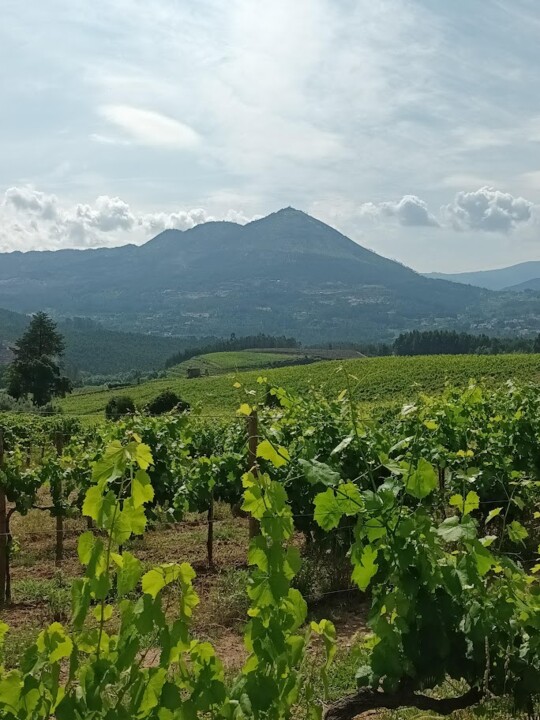 Não me canso disto_Canedo4_4.jpg