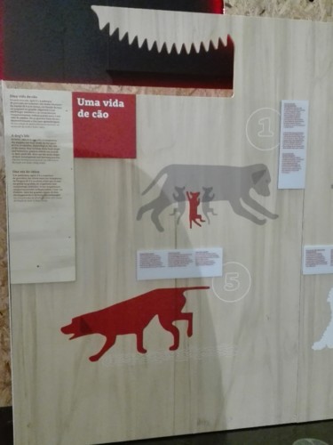 IMG_20190120_131138 (1).jpg