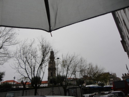 DSC08687.JPG
