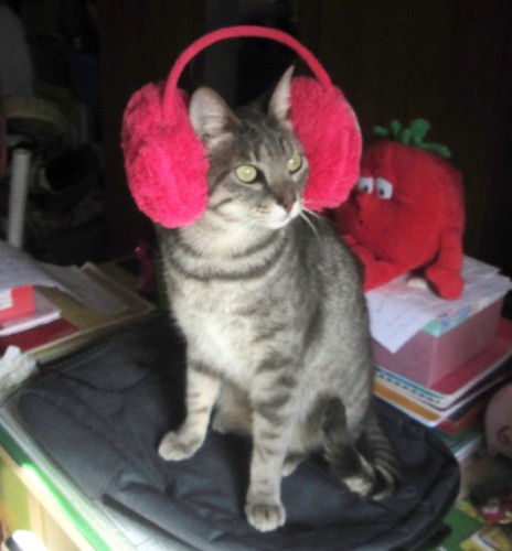 IMG_5443 - Cópia.JPG