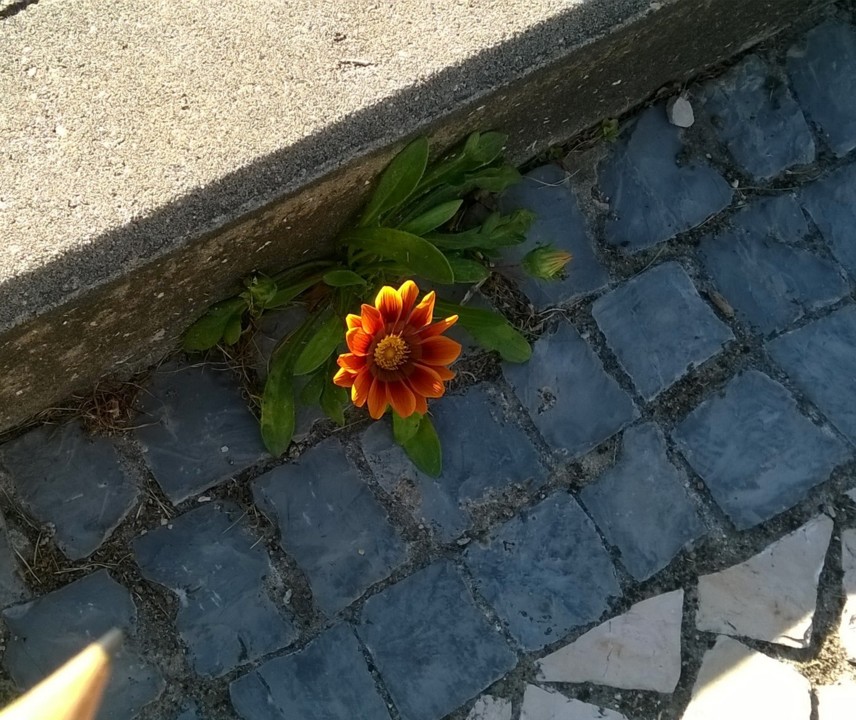 WP_20180922_17_08_26_Pro.jpg