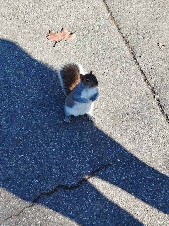 Não me canso disto Park2.jpg