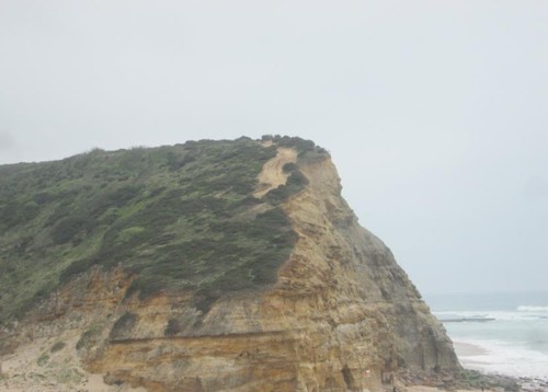 32952166_1652215284893770_3389993703635419136_n.jp