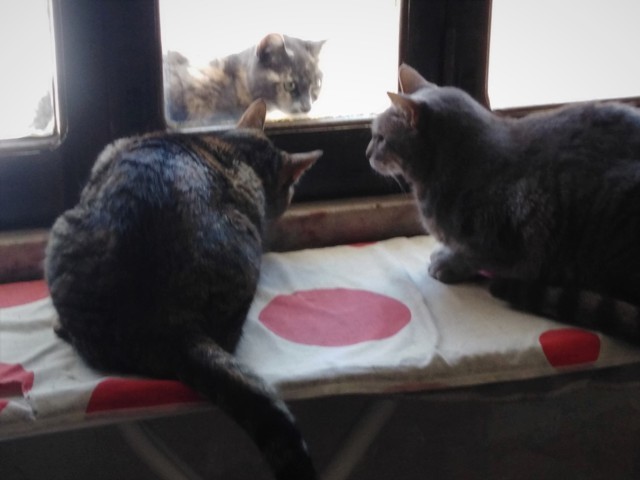 184290097_1584039421796520_858352087327197461_n.jp