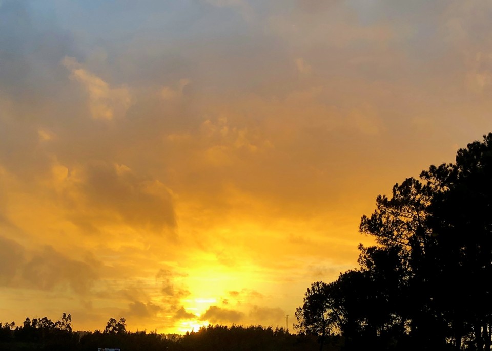 entardecer 81120.jpg entardecer 81120.jpg