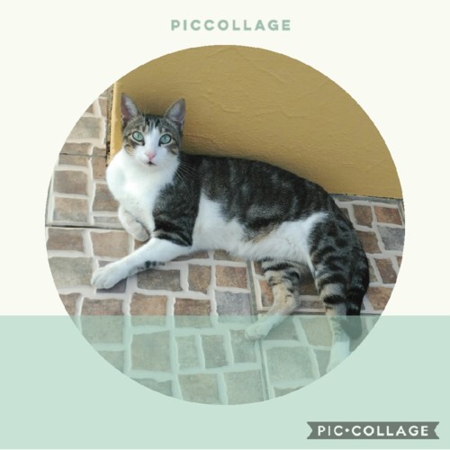 Collage 2018-09-21 18_26_15.jpg Collage 2018-09-21 18_26_15.jpg