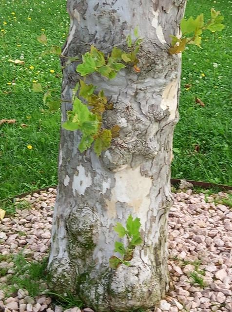 240536230_4230741777041095_7671514758973825971_n.j