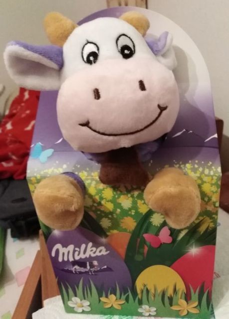 163448726_3737818966333381_5658944274139354854_o.j