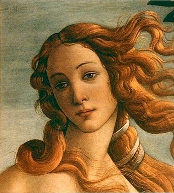Botticelli_The_Birth_of_Venus_Detail.jpg Botticelli_The_Birth_of_Venus_Detail.jpg