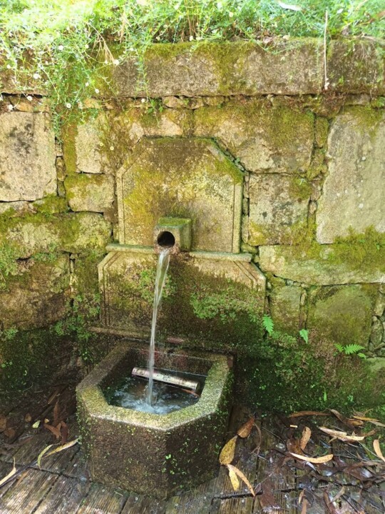 Não me canso disto minho7.jpg