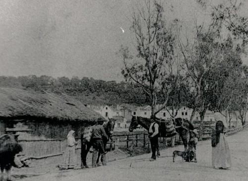 margem sul.JPG margem sul.JPG