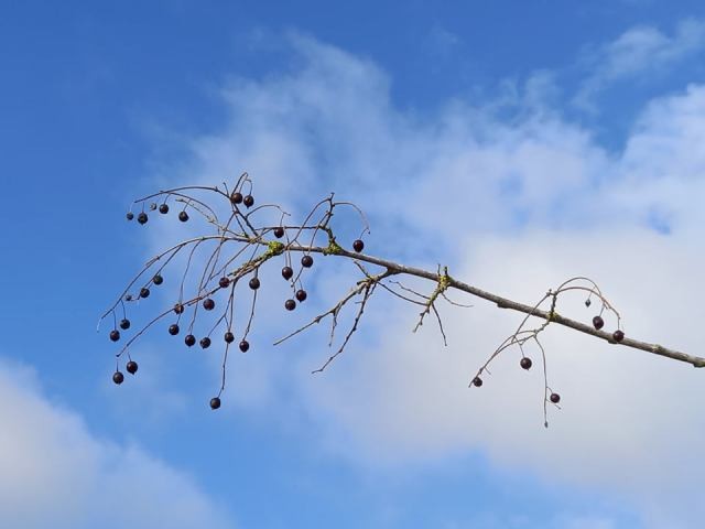 259768097_601902537713409_5068809958184844284_n.jp