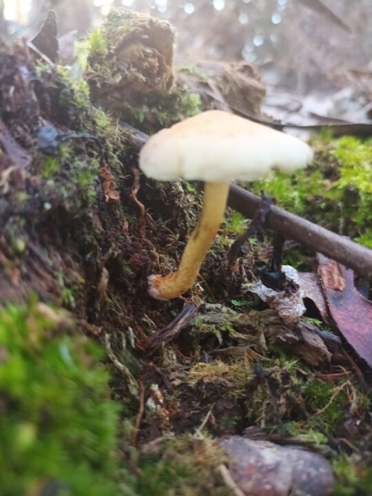 Não me canso disto inverno4.jpg