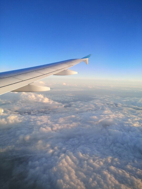 IMG_20230102_163644.jpg