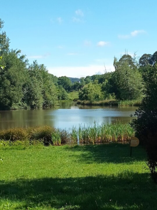 Não me canso disto Famalicão2.jpg