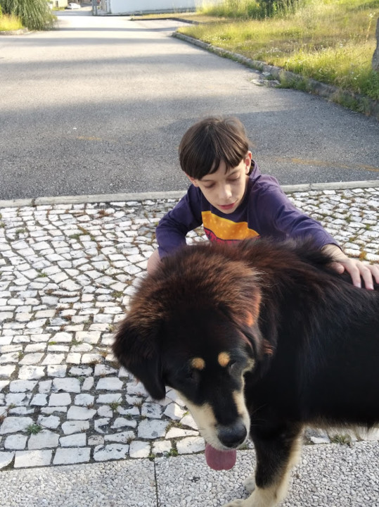 não_me_canso_disto_Santa_passeio2.jpg não_me_canso_disto_Santa_passeio2.jpg