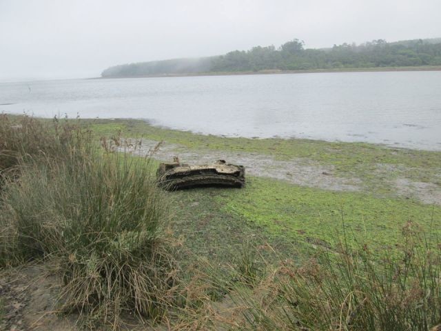 41990499_1825307170917913_3823911453526589440_o.jp